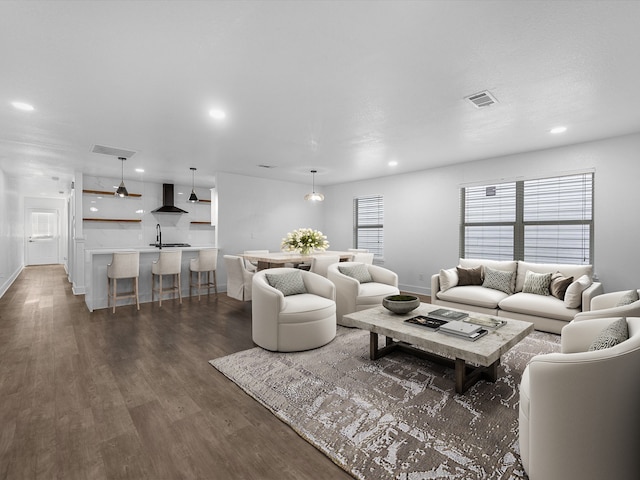 living room with sink and dark wood-type flooring