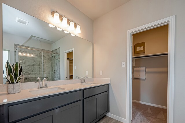 bathroom featuring walk in shower and vanity