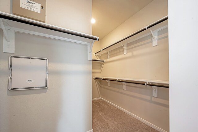 spacious closet featuring carpet flooring