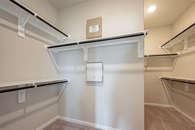 spacious closet featuring carpet floors