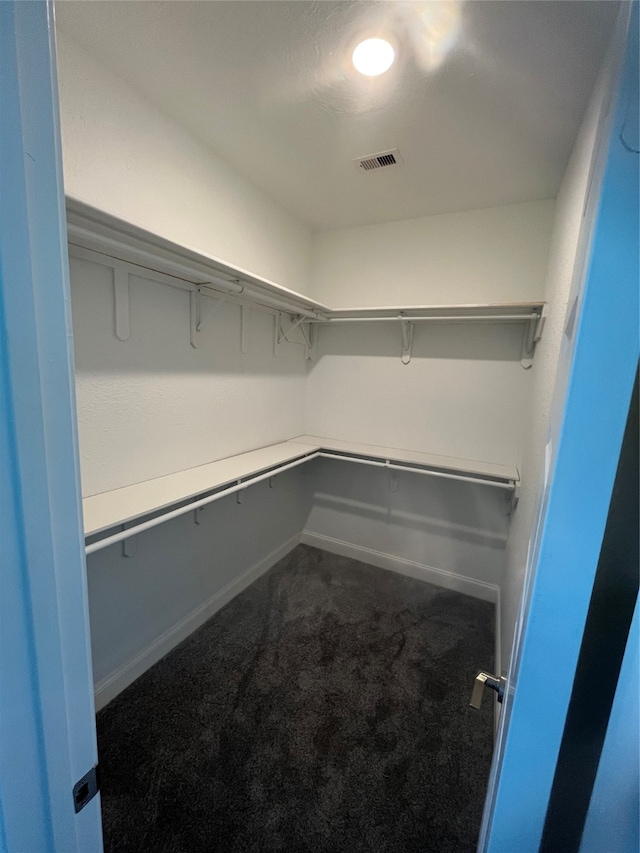 walk in closet with carpet flooring