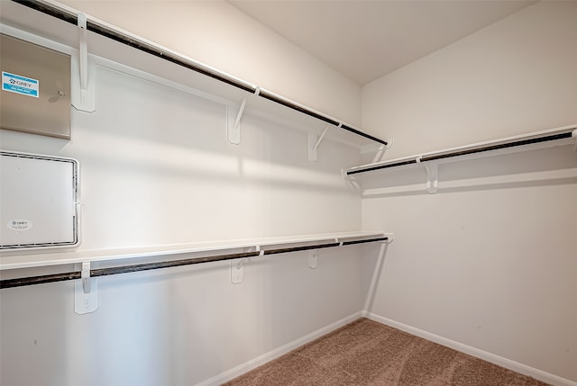 spacious closet with light colored carpet