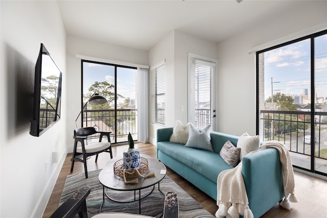 living room featuring hardwood / wood-style floors