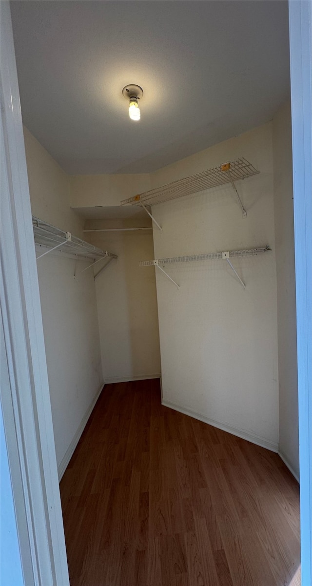 spacious closet with dark wood-type flooring