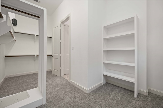 spacious closet featuring carpet