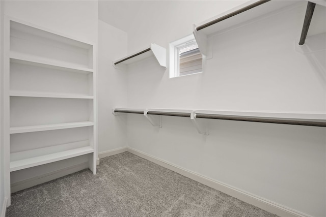 spacious closet with carpet floors