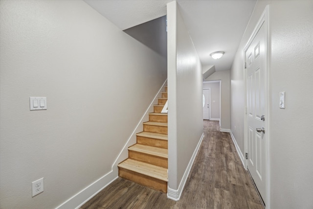 stairs featuring hardwood / wood-style flooring