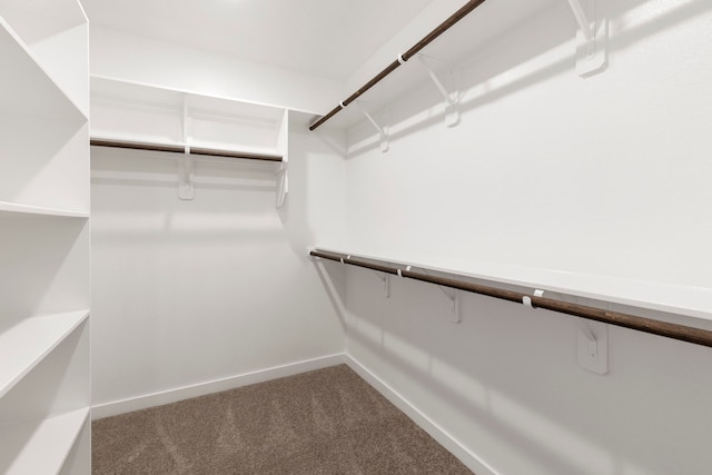 spacious closet featuring carpet floors