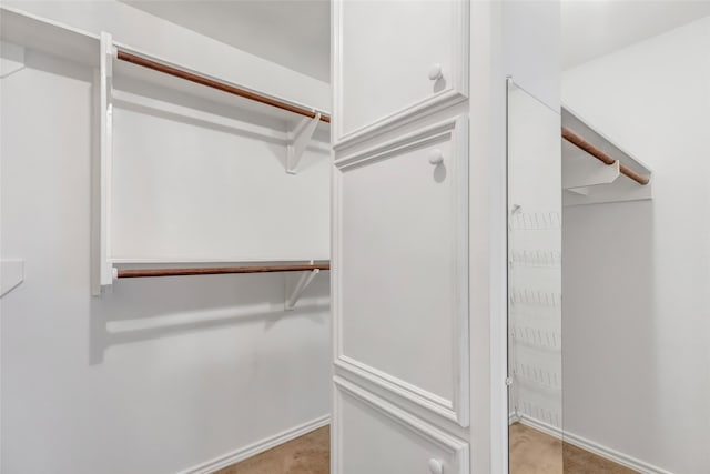 view of walk in closet