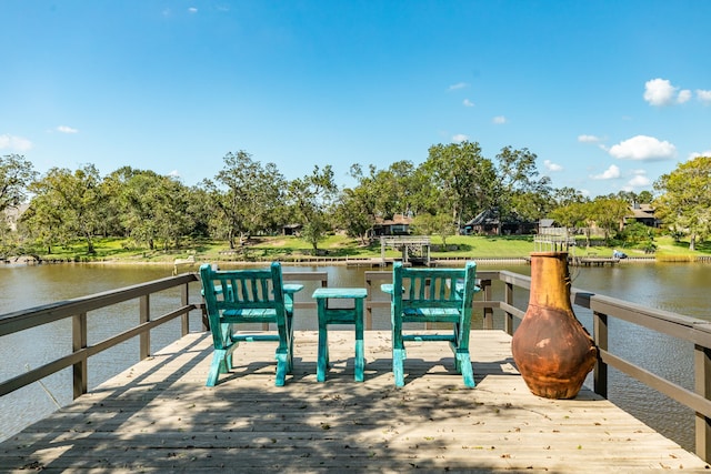 dock area with a water view