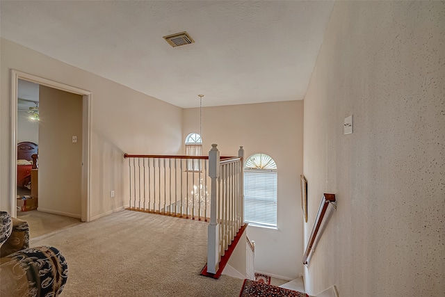 staircase featuring carpet flooring