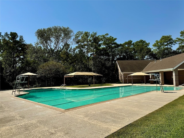 view of pool featuring a patio area