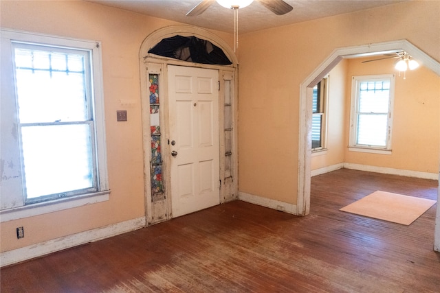 foyer featuring a wealth of natural light, ceiling fan, and dark hardwood / wood-style floors