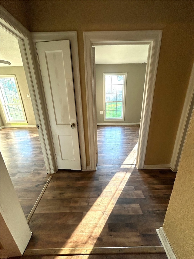 hall with dark hardwood / wood-style flooring