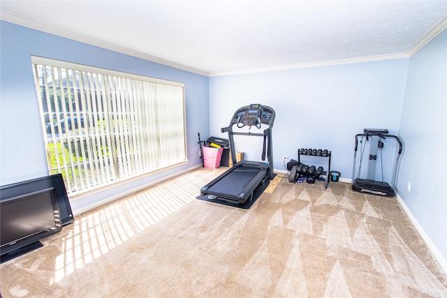 workout room featuring ornamental molding and carpet