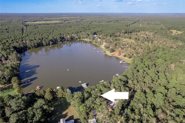 bird's eye view featuring a water view and a view of trees