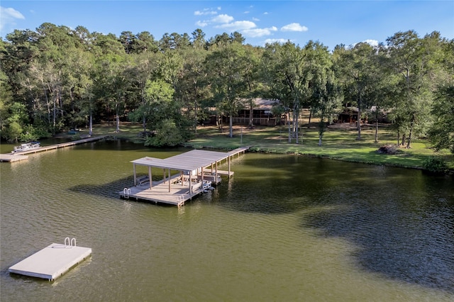 dock area with a water view