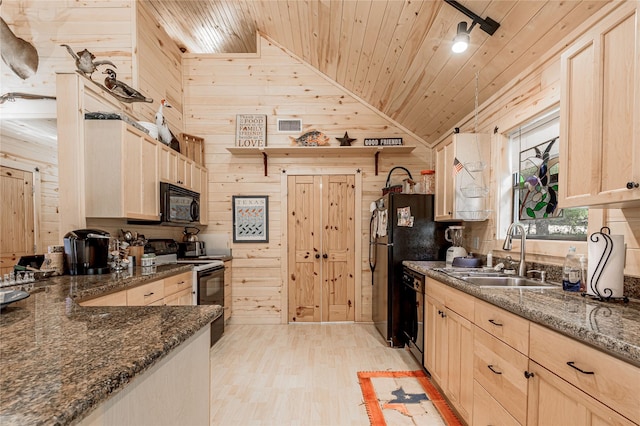 kitchen featuring a sink, wood walls, and black appliances