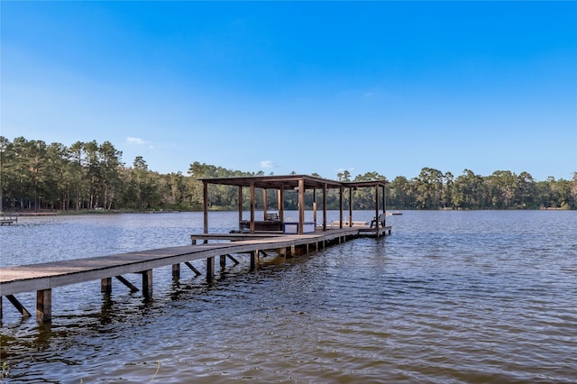 view of dock with a water view