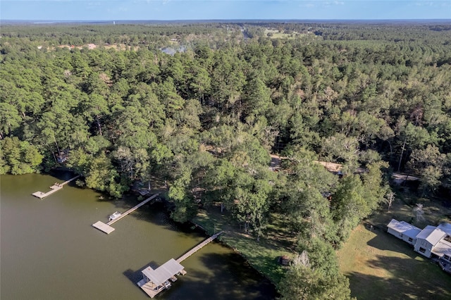 birds eye view of property with a water view and a forest view