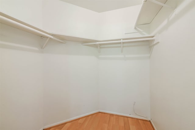 walk in closet featuring wood-type flooring