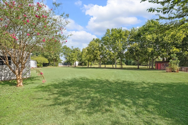 view of yard featuring a storage unit