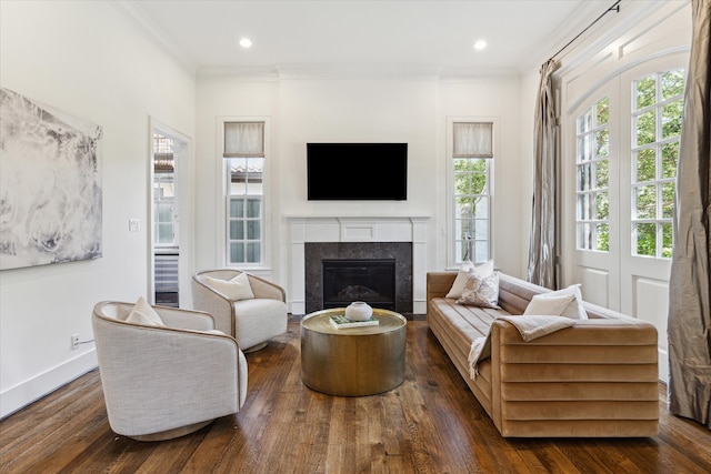 living room featuring ornamental molding, dark wood-type flooring, and a fireplace