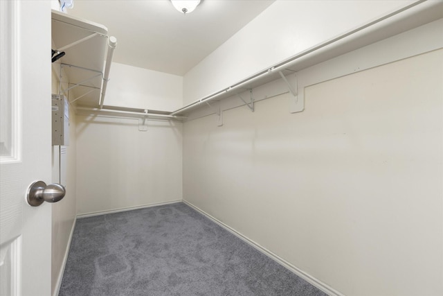 walk in closet with dark colored carpet