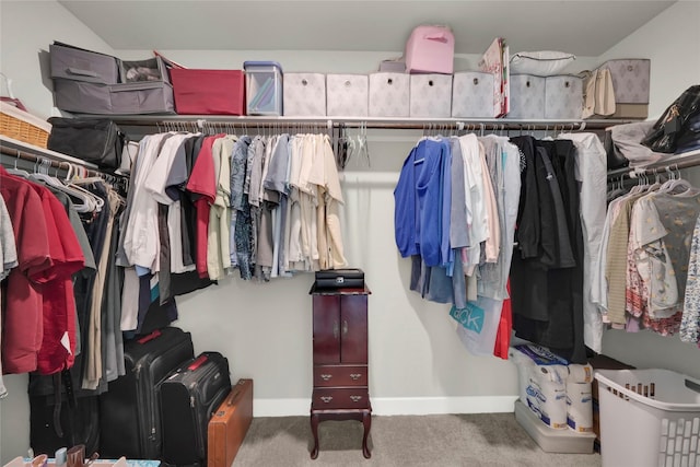 spacious closet featuring carpet flooring