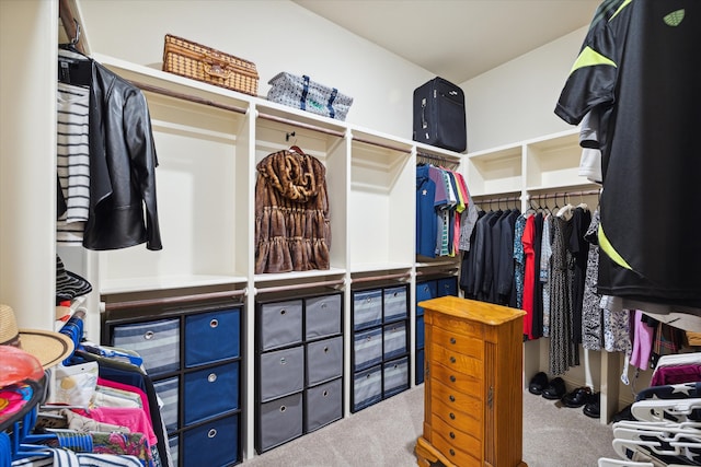 spacious closet featuring carpet flooring