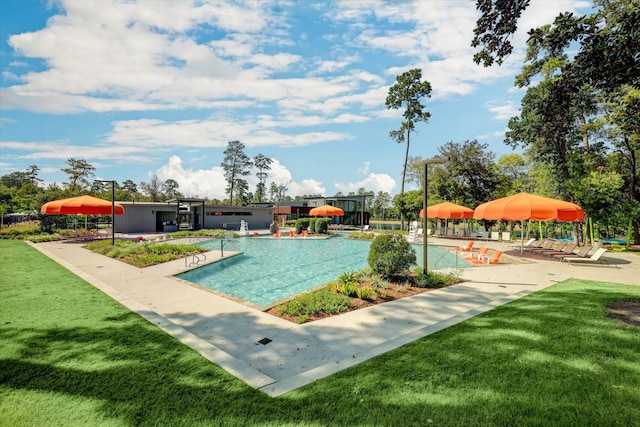 view of swimming pool with a patio and a yard