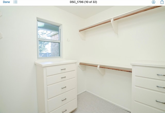 spacious closet with light colored carpet