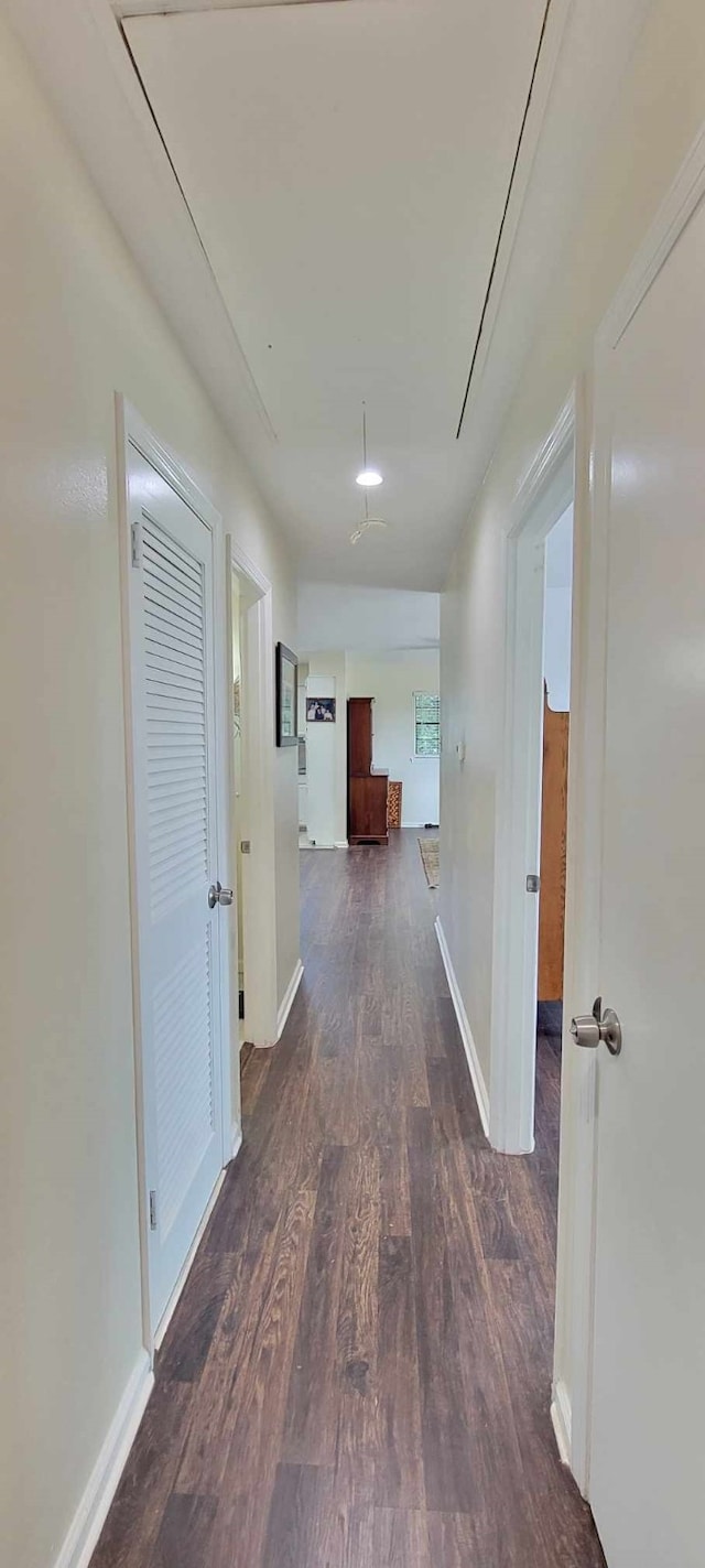 hallway with dark hardwood / wood-style floors