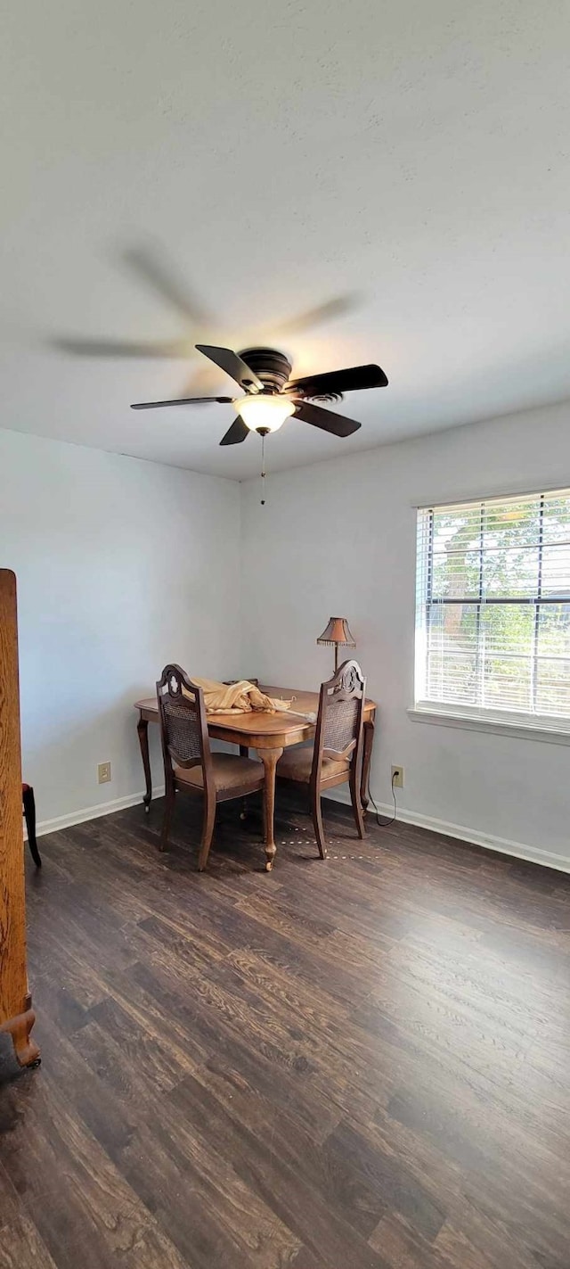113 Sanders St, Palacios, TX 77465 - photo 15