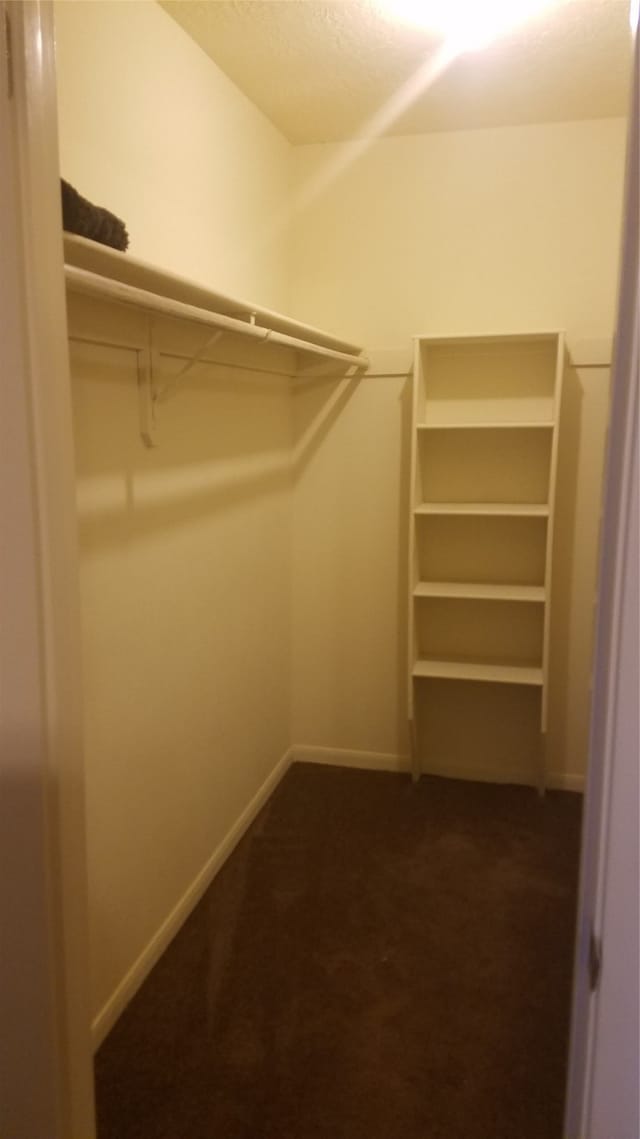 spacious closet with dark carpet