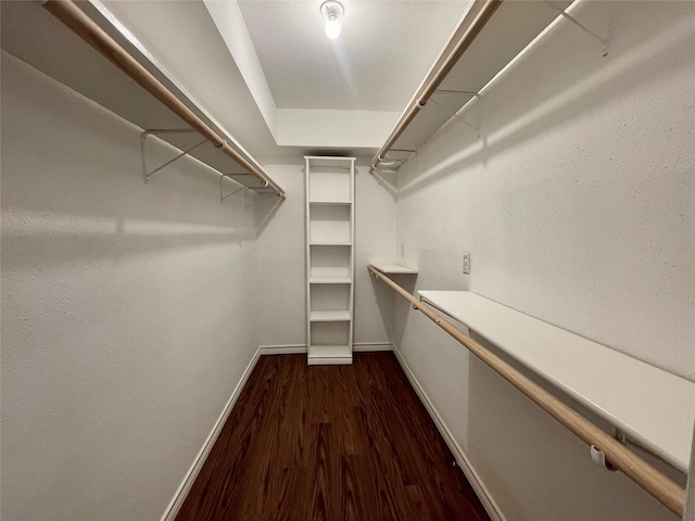 walk in closet featuring dark wood-style flooring