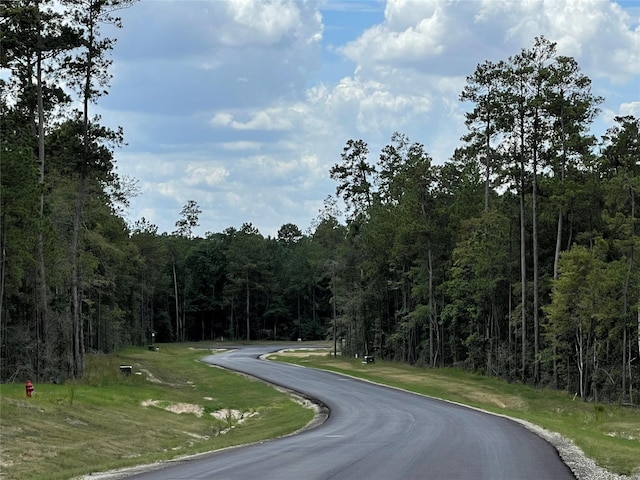 16611 Retreat Rd, Willis, TX 77378