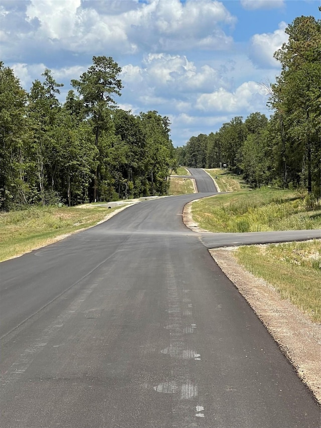 16611 Retreat Rd, Willis, TX 77378