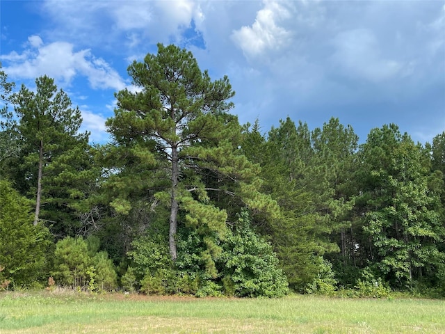 16611 Retreat Rd, Willis, TX 77378