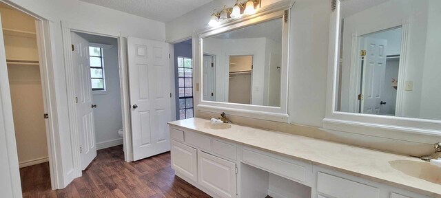 8 Abalone St, Bay City, TX 77414 - bathroom with wood finished floors, a walk in closet, double vanity, and toilet