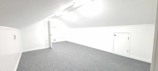 8 Abalone St, Bay City, TX 77414 - bonus room with lofted ceiling, a textured ceiling, carpet floors, and baseboards