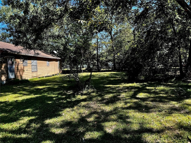 235 W Hartel St, Sour Lake, TX 77659 - view of yard
