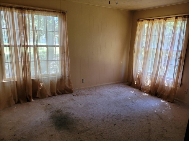 235 W Hartel St, Sour Lake, TX 77659 - unfurnished room with carpet floors, wooden walls, and a healthy amount of sunlight