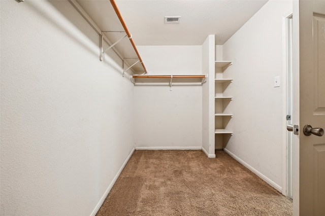 spacious closet with carpet flooring