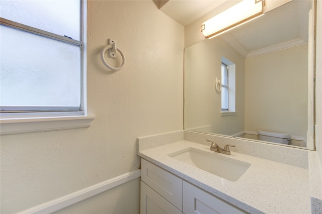 bathroom featuring vanity, toilet, and plenty of natural light