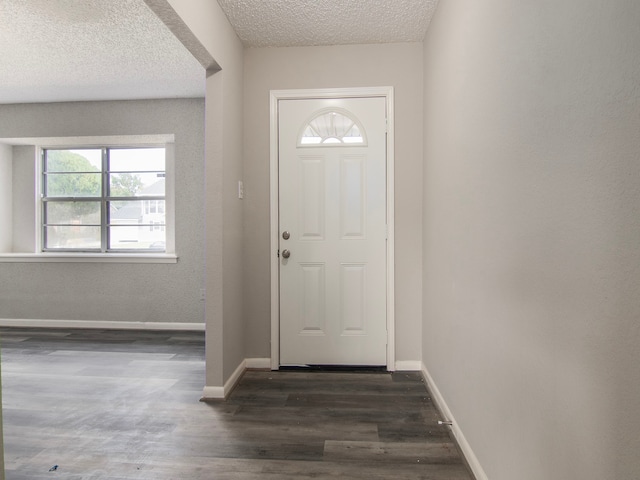 foyer entrance with a textured ceiling and dark wood-type flooring