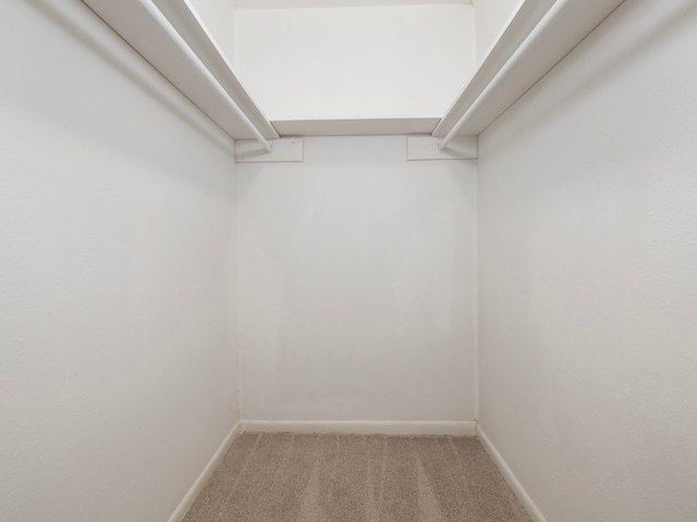 spacious closet with carpet