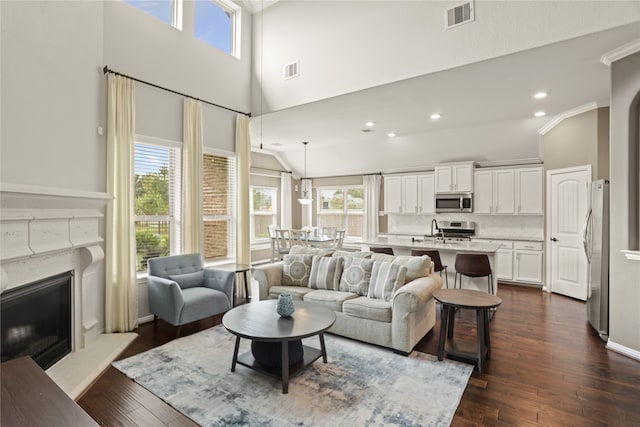 living room featuring ornamental molding, dark wood-type flooring, a premium fireplace, and high vaulted ceiling