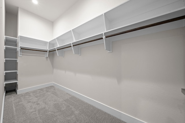 walk in closet with light colored carpet