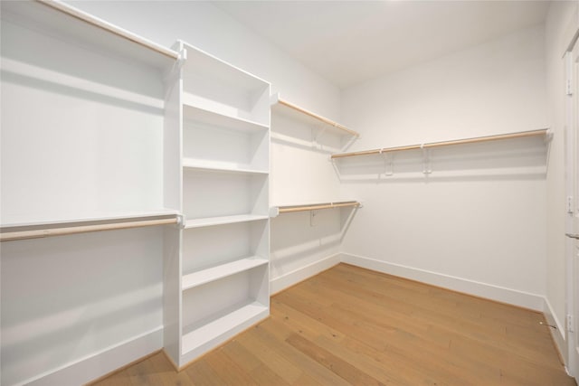 spacious closet featuring light wood-type flooring